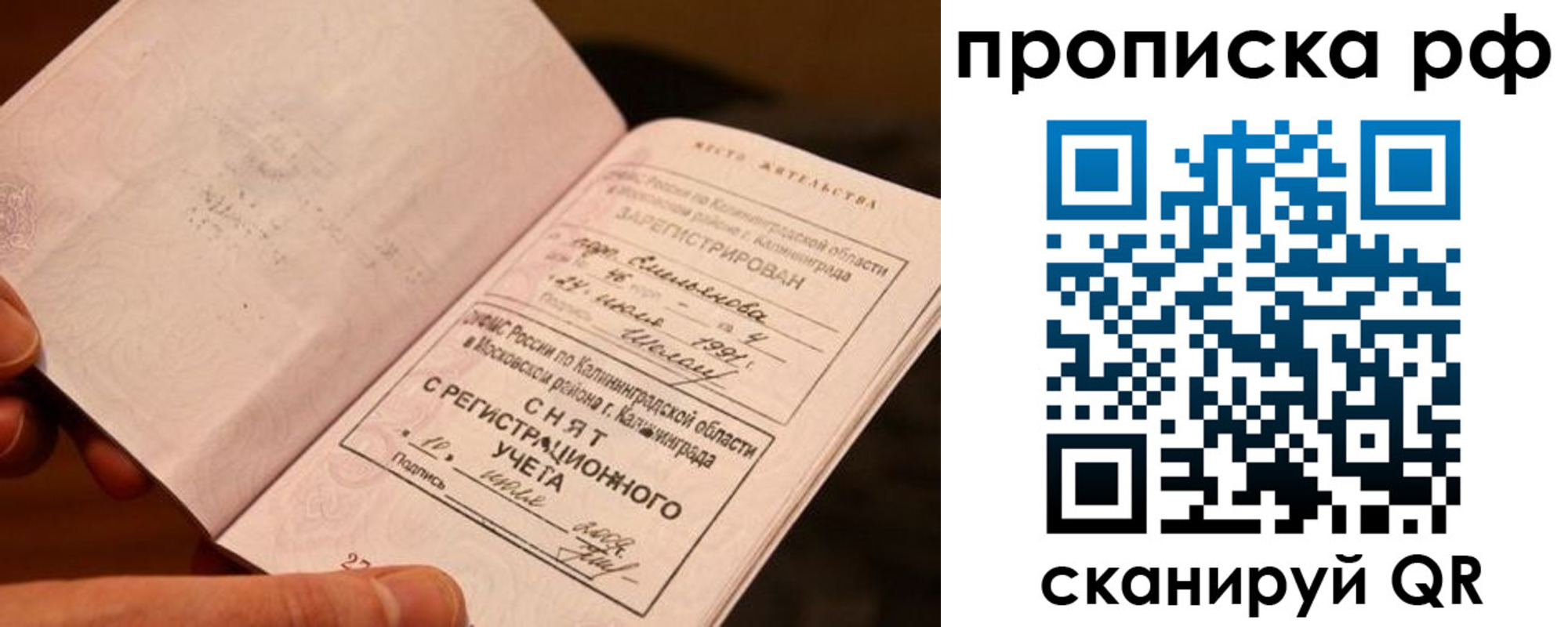 прописка гарантия в Петровске